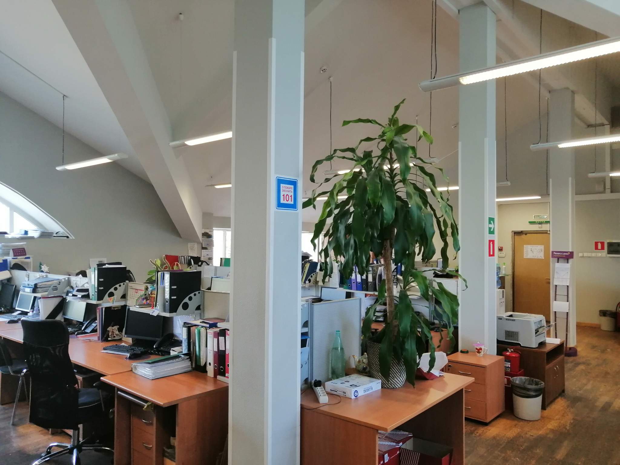 Сдам в аренду помещение свободного назначения 215.6 м.кв.