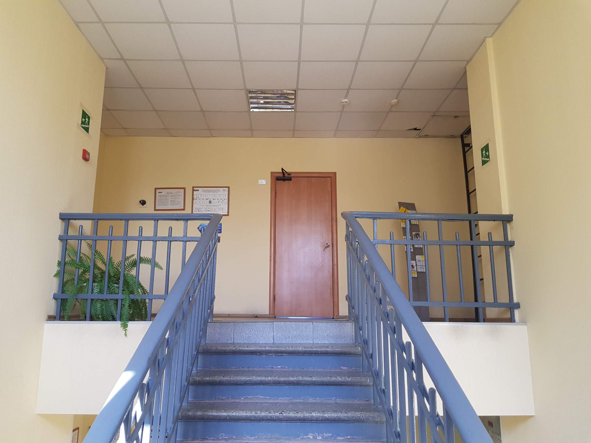 Продам торговое помещение 1119.4 м.кв.