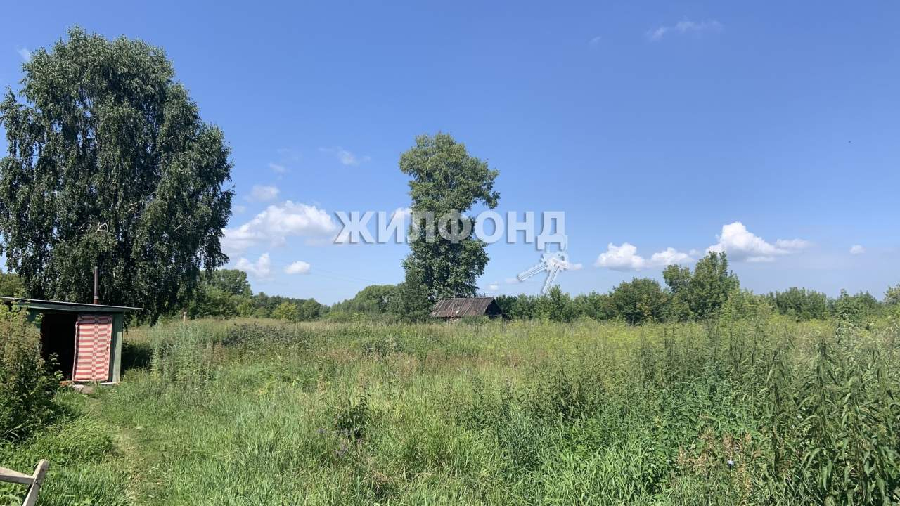 Дом на продажу в Красном Маяке, Центральная улица фото №2