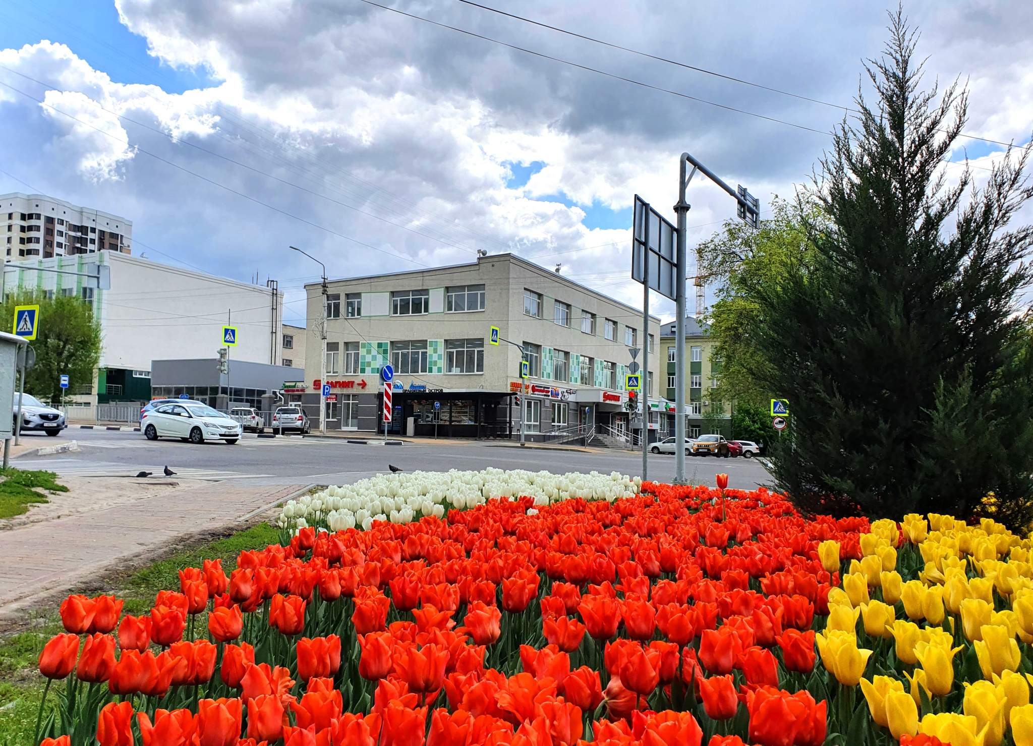 Сдам в аренду помещение свободного назначения 112 м.кв.