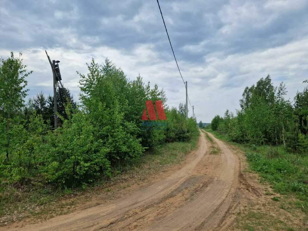 Деревня Погост Ярославская область Некрасовский район