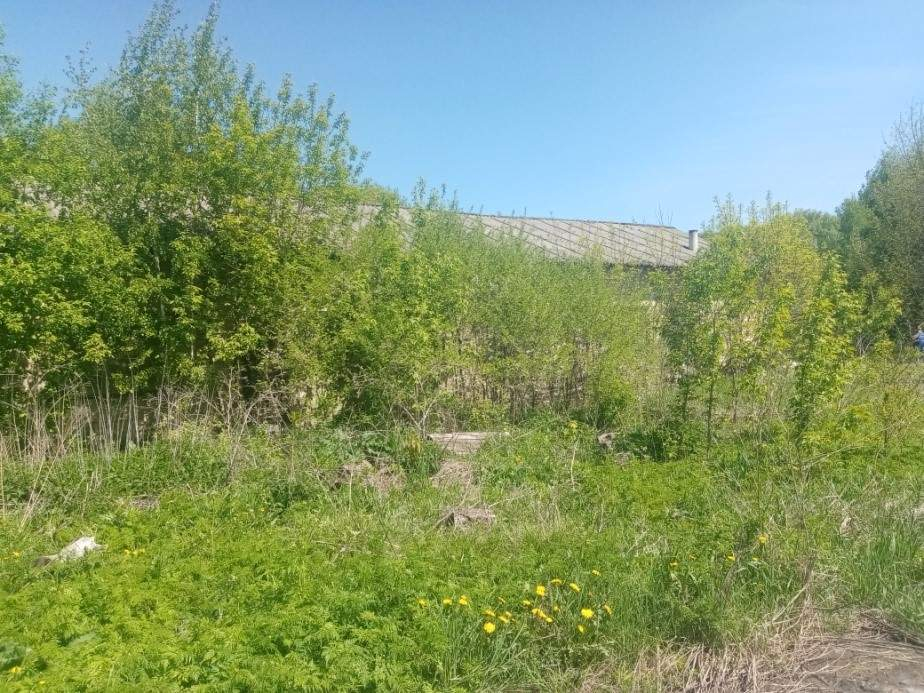 Продам торговое помещение 227.3 м.кв.