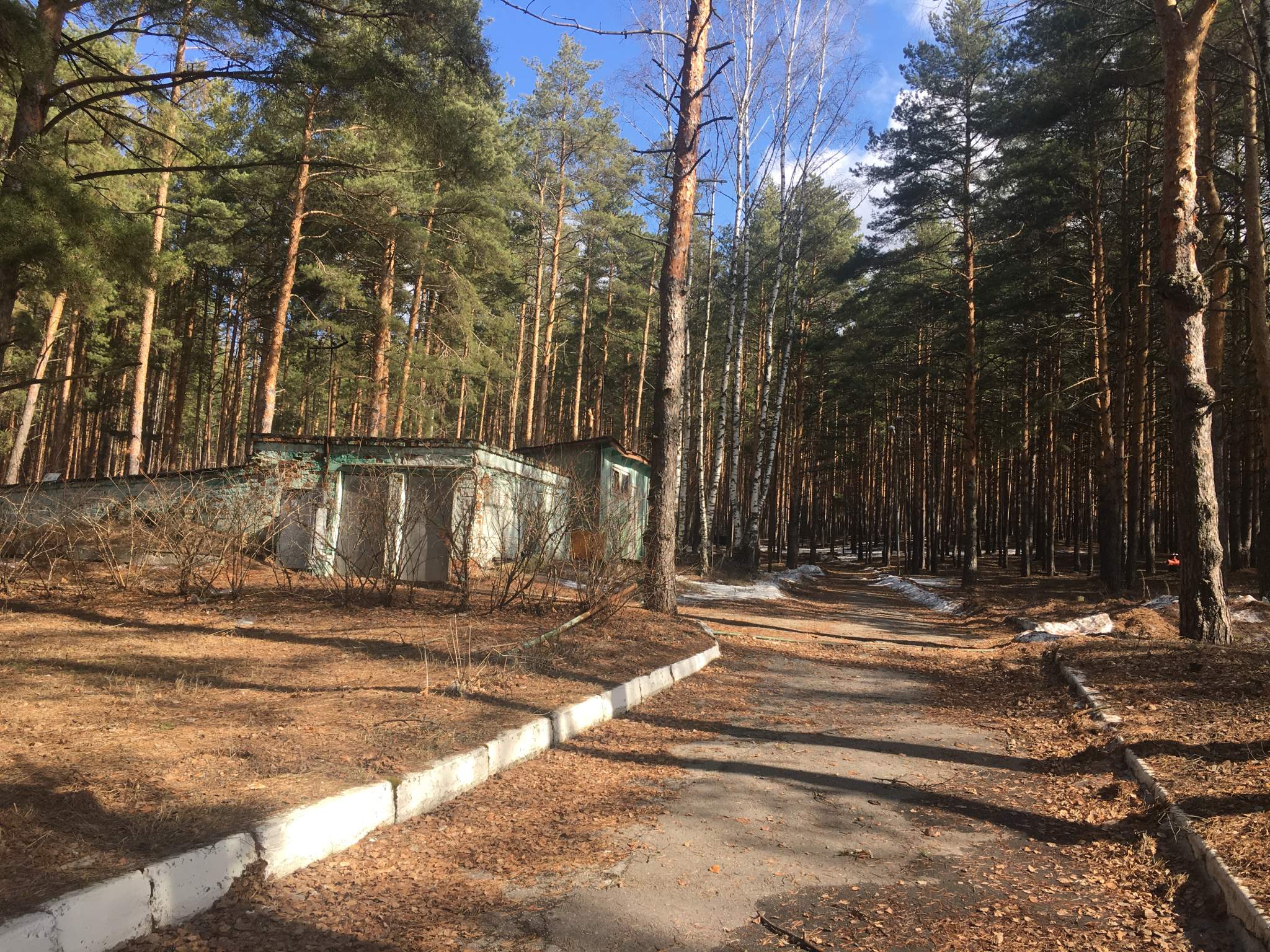 Фото: База отдыха «Волна» test