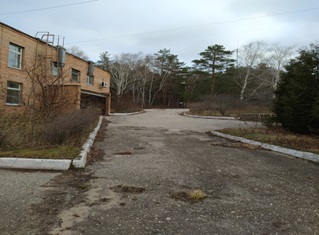 Фото: База отдыха «Волна» test