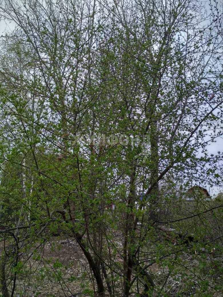 Продам земельный участок 943 м.кв.