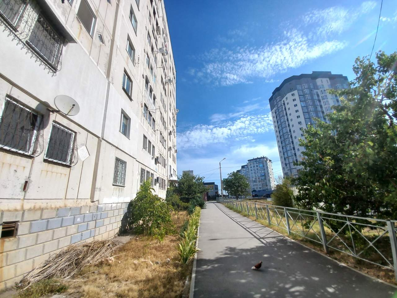 Квартира на продажу в Севастополе, Александра Маринеско улица, 6 фото №17