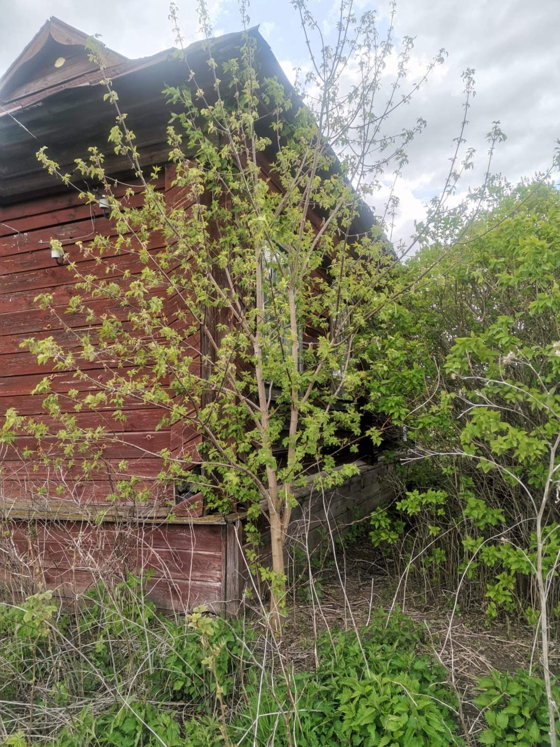 Продам торговое помещение 43 м.кв.