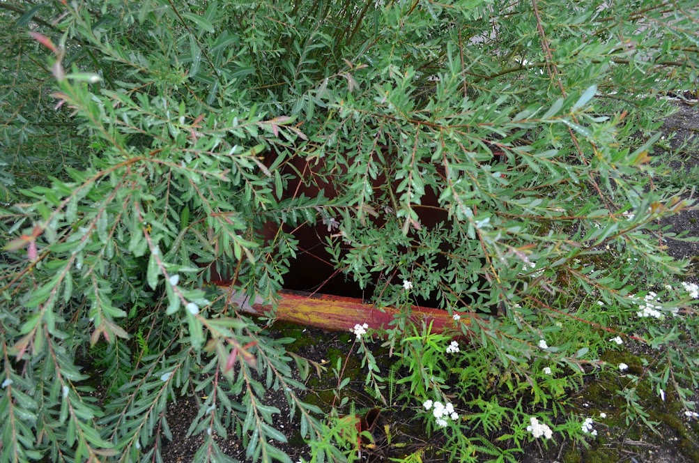 Готовый бизнес на продажу в Катыне, Витебское шоссе улица, 10а фото №10