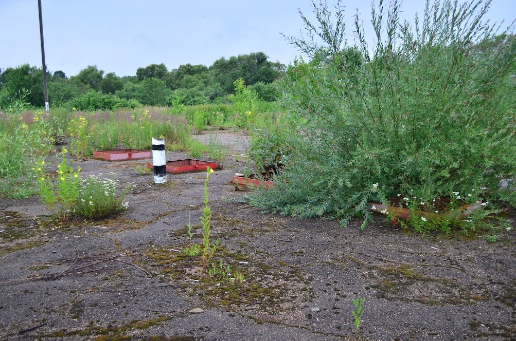 Готовый бизнес на продажу в Катыне, Витебское шоссе улица, 10а фото №16