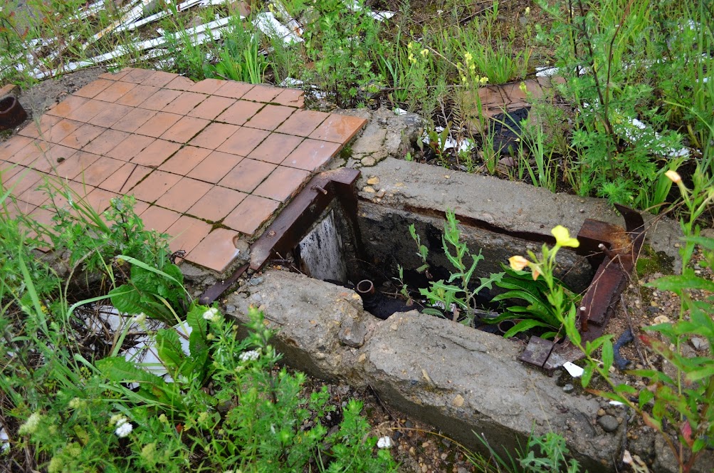 Готовый бизнес на продажу в Катыне, Витебское шоссе улица, 10а фото №5