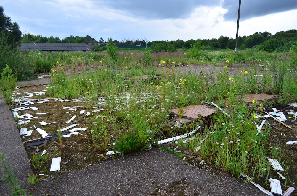 Готовый бизнес на продажу в Катыне, Витебское шоссе улица, 10а фото №6