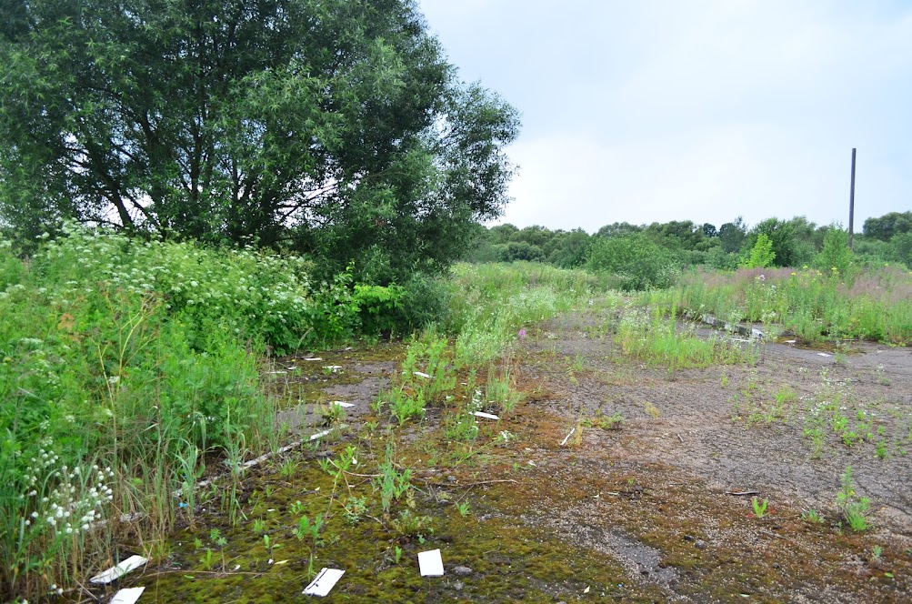 Готовый бизнес на продажу в Катыне, Витебское шоссе улица, 10а фото №7