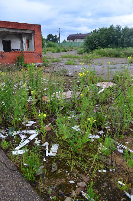 Готовый бизнес на продажу в Катыне, Витебское шоссе улица, 10а фото №4