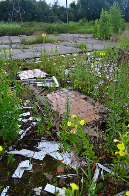 Готовый бизнес на продажу в Катыне, Витебское шоссе улица, 10а фото №3