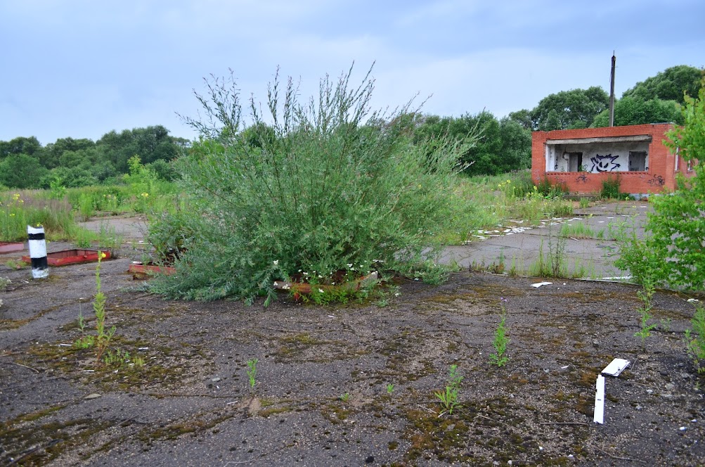 Готовый бизнес на продажу в Катыне, Витебское шоссе улица, 10а фото №17