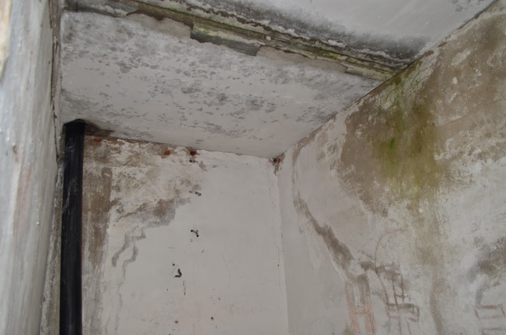 Готовый бизнес на продажу в Катыне, Витебское шоссе улица, 10а фото №19