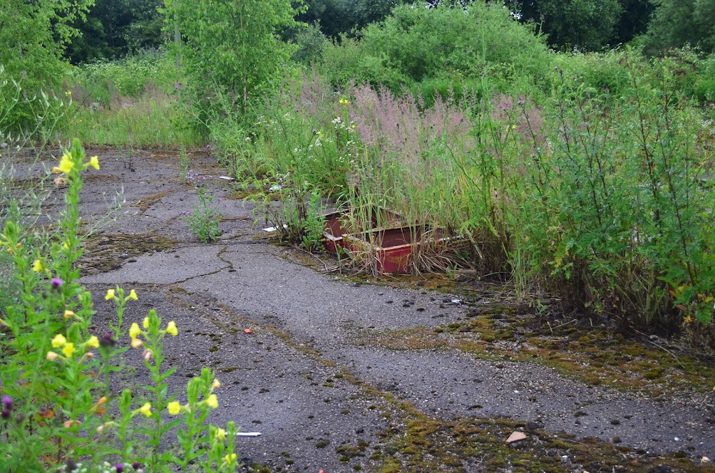 Готовый бизнес на продажу в Катыне, Витебское шоссе улица, 10а фото №15