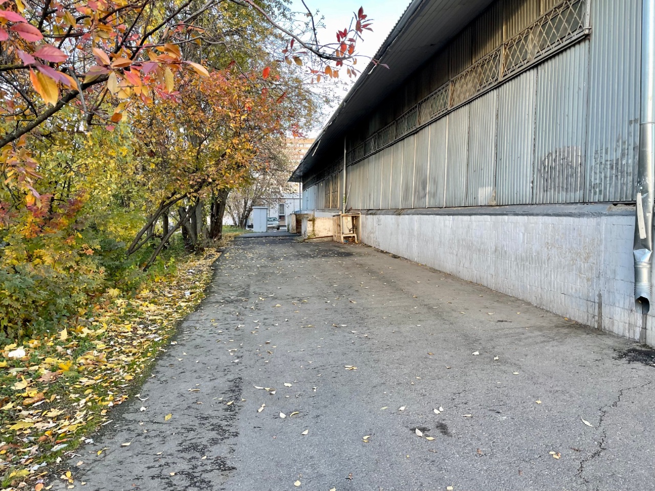 Сдам в аренду помещение свободного назначения 280.6 м.кв.