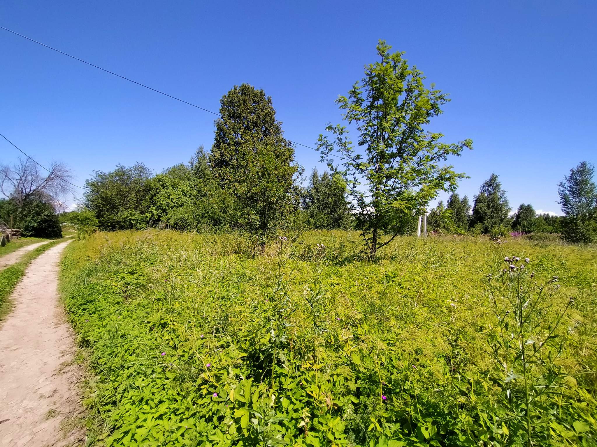 Продам земельный участок 1500 м.кв.