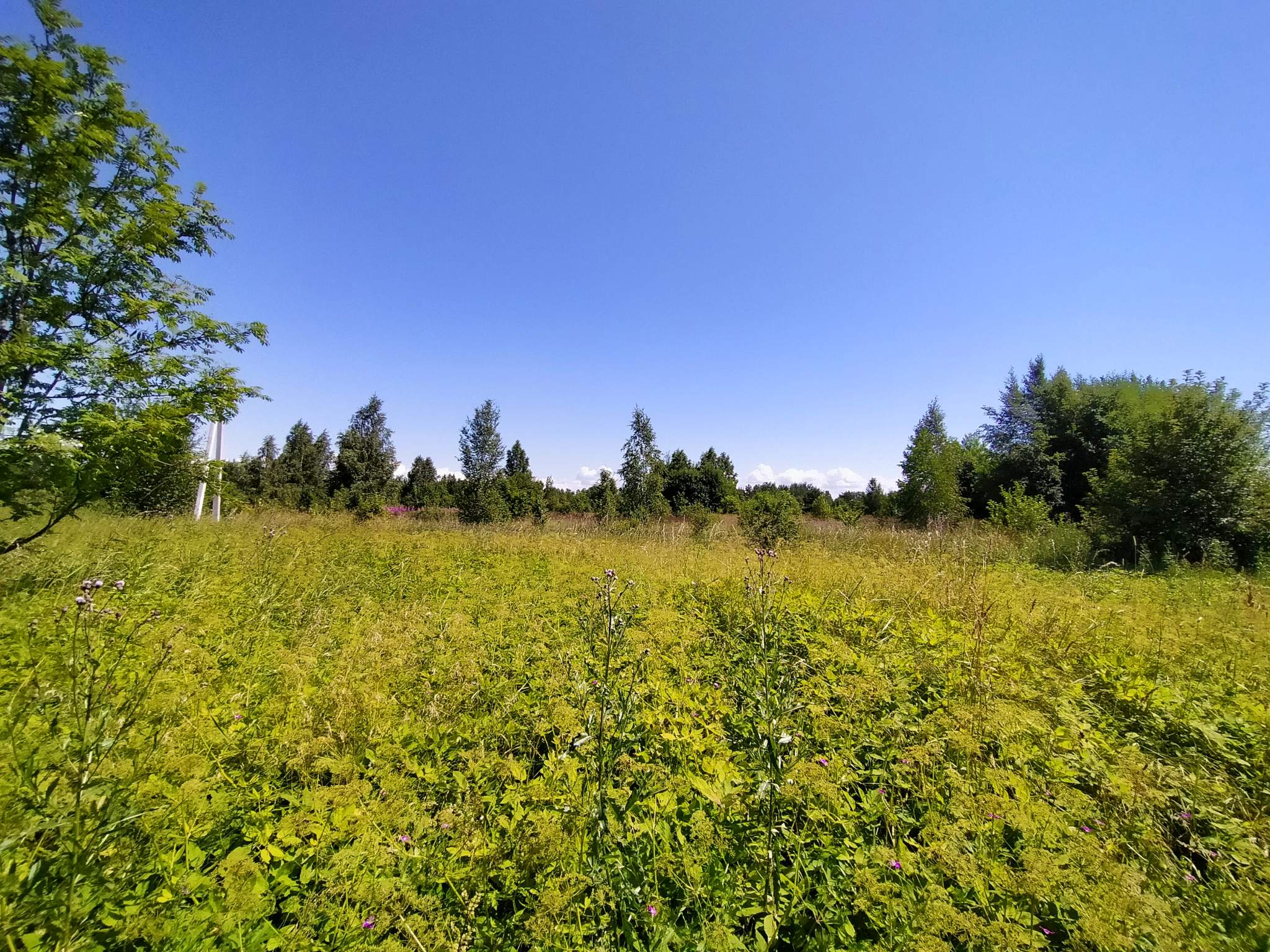 Продам земельный участок 1500 м.кв.