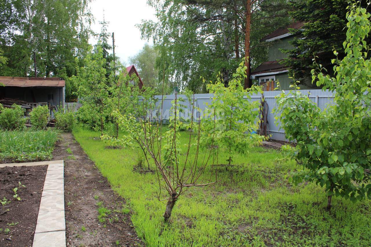 Дом на продажу в Новосибирске, Ивушка территория снт фото №3