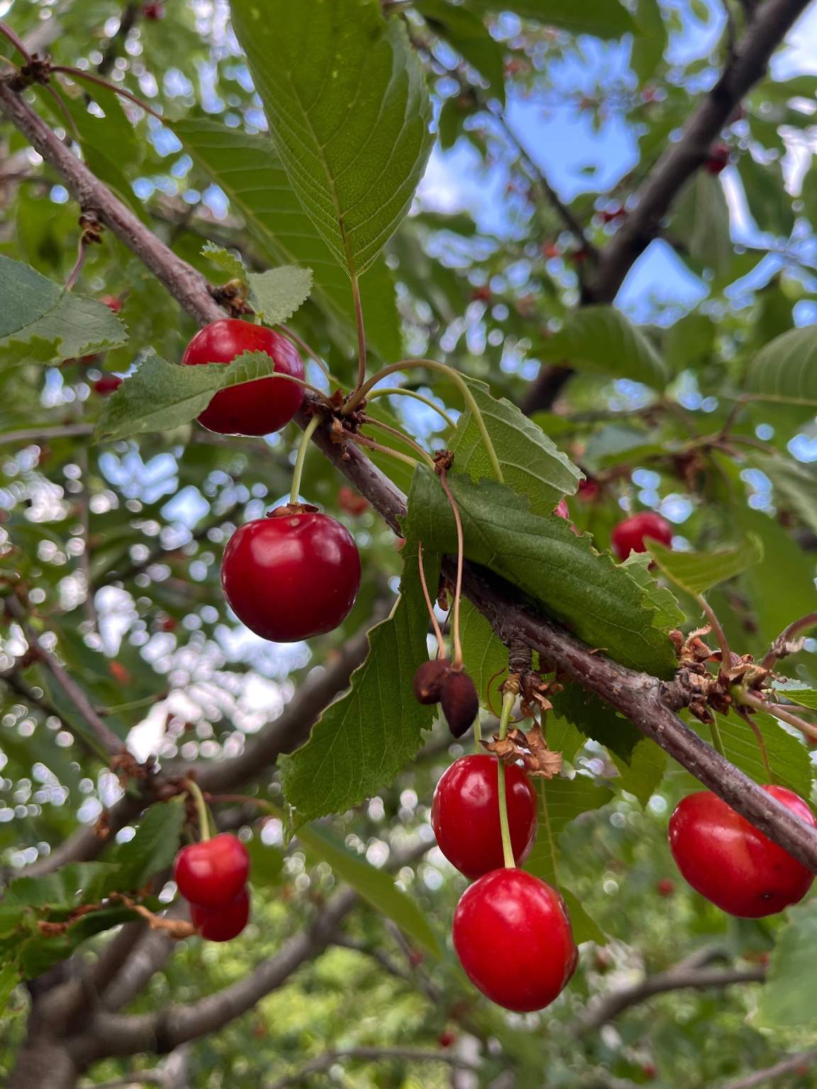 Дом на продажу в Волгограде, 101-я Винновская улица фото №2