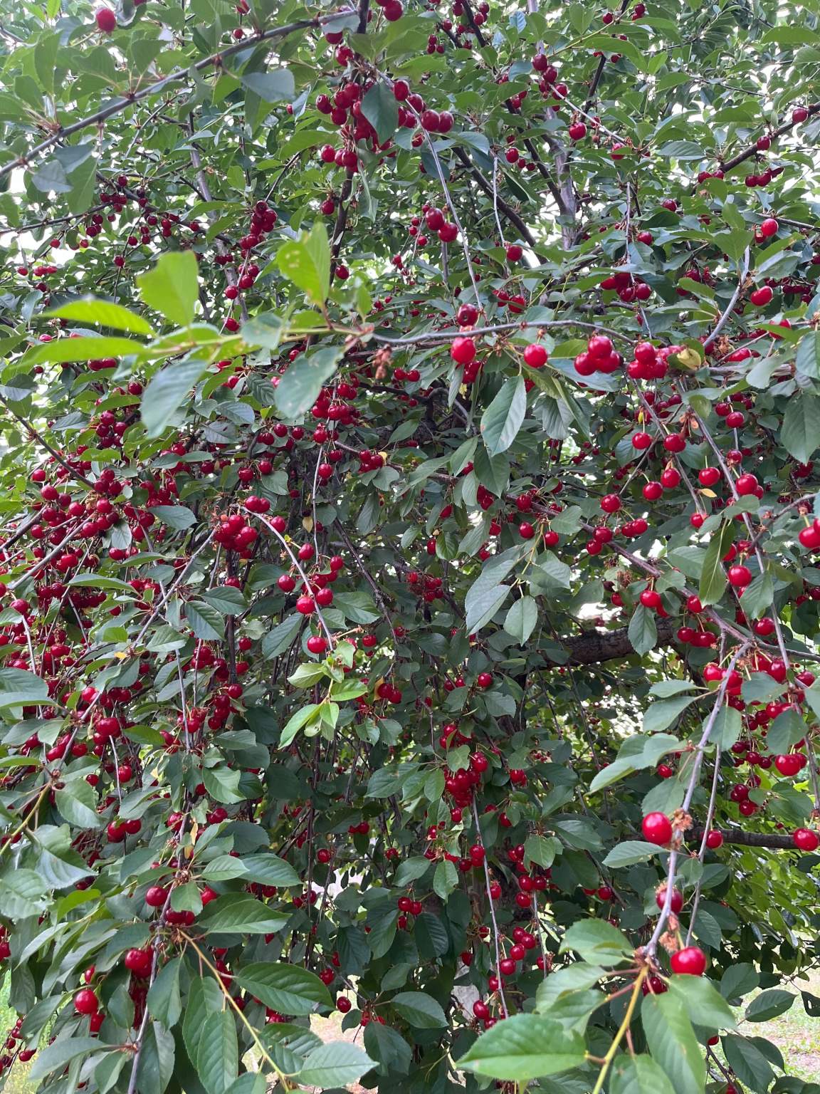 Дом на продажу в Волгограде, 101-я Винновская улица фото №3