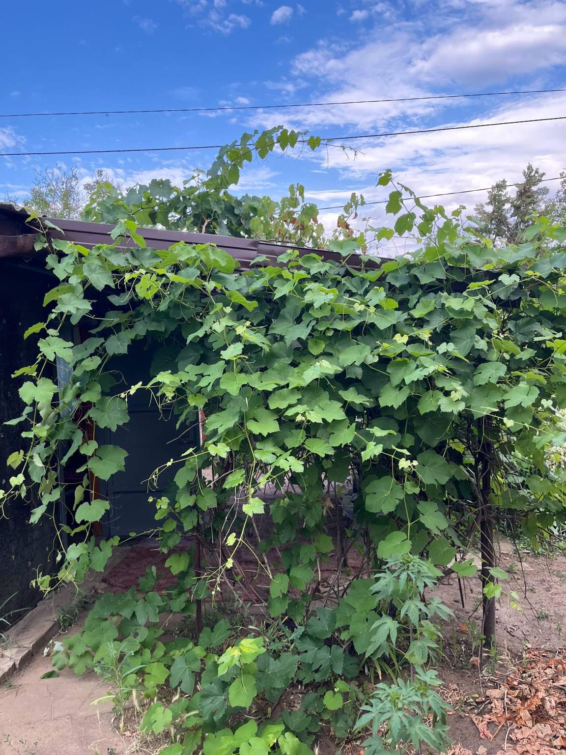 Дом на продажу в Волгограде, 101-я Винновская улица фото №7