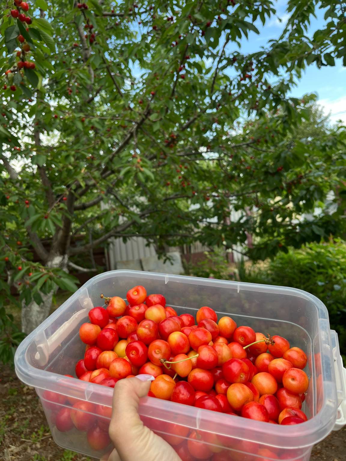 Дом на продажу в Волгограде, 101-я Винновская улица фото №1
