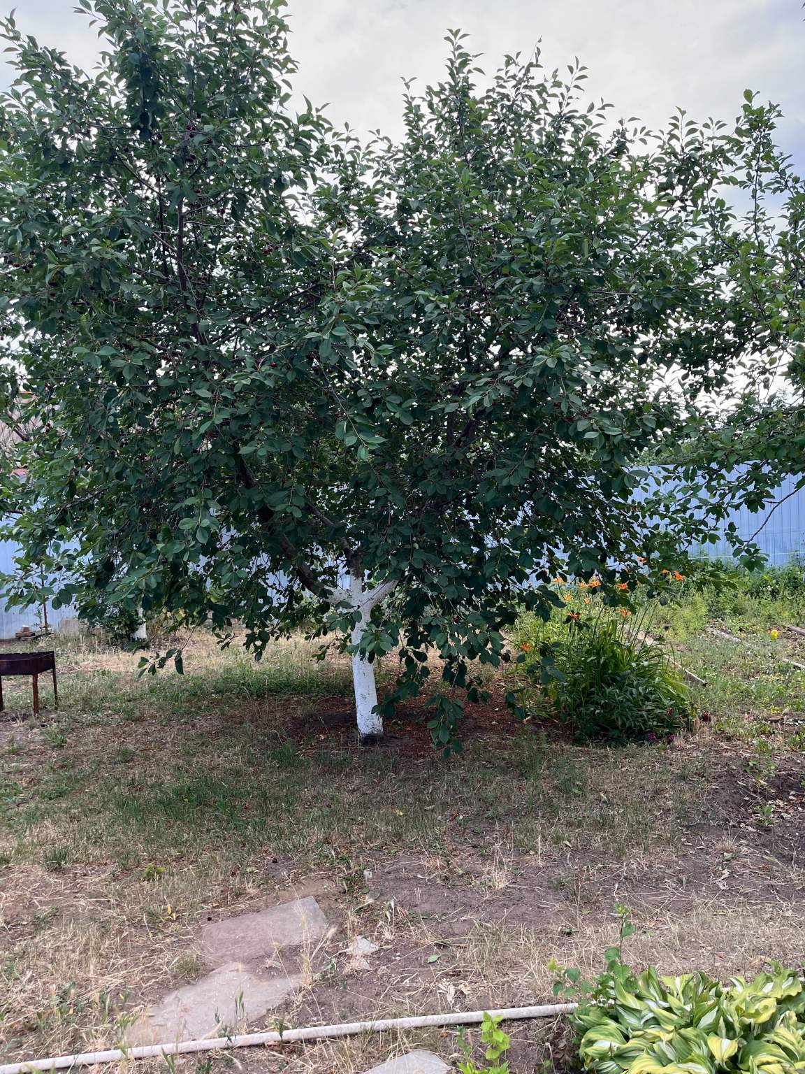 Дом на продажу в Волгограде, 101-я Винновская улица фото №4