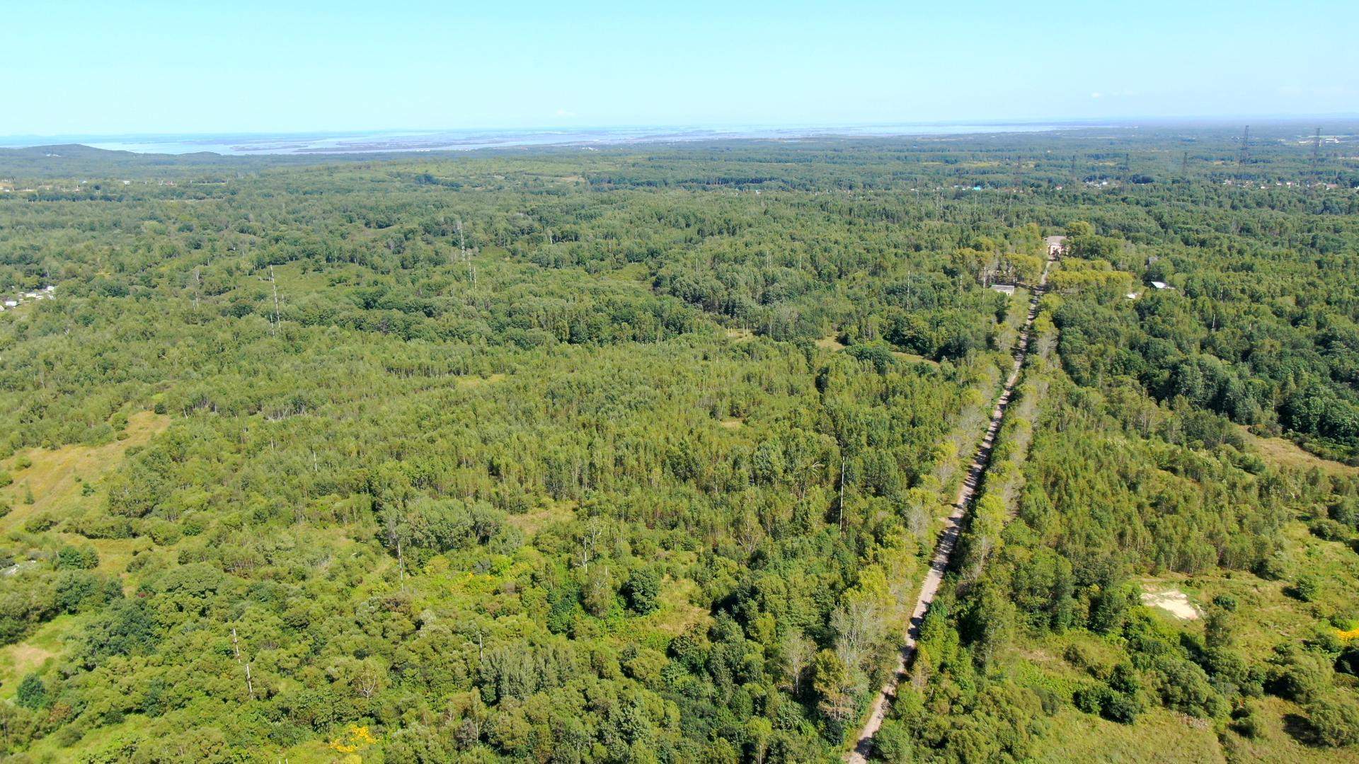 Сдам в аренду земельный участок 165489 м.кв.