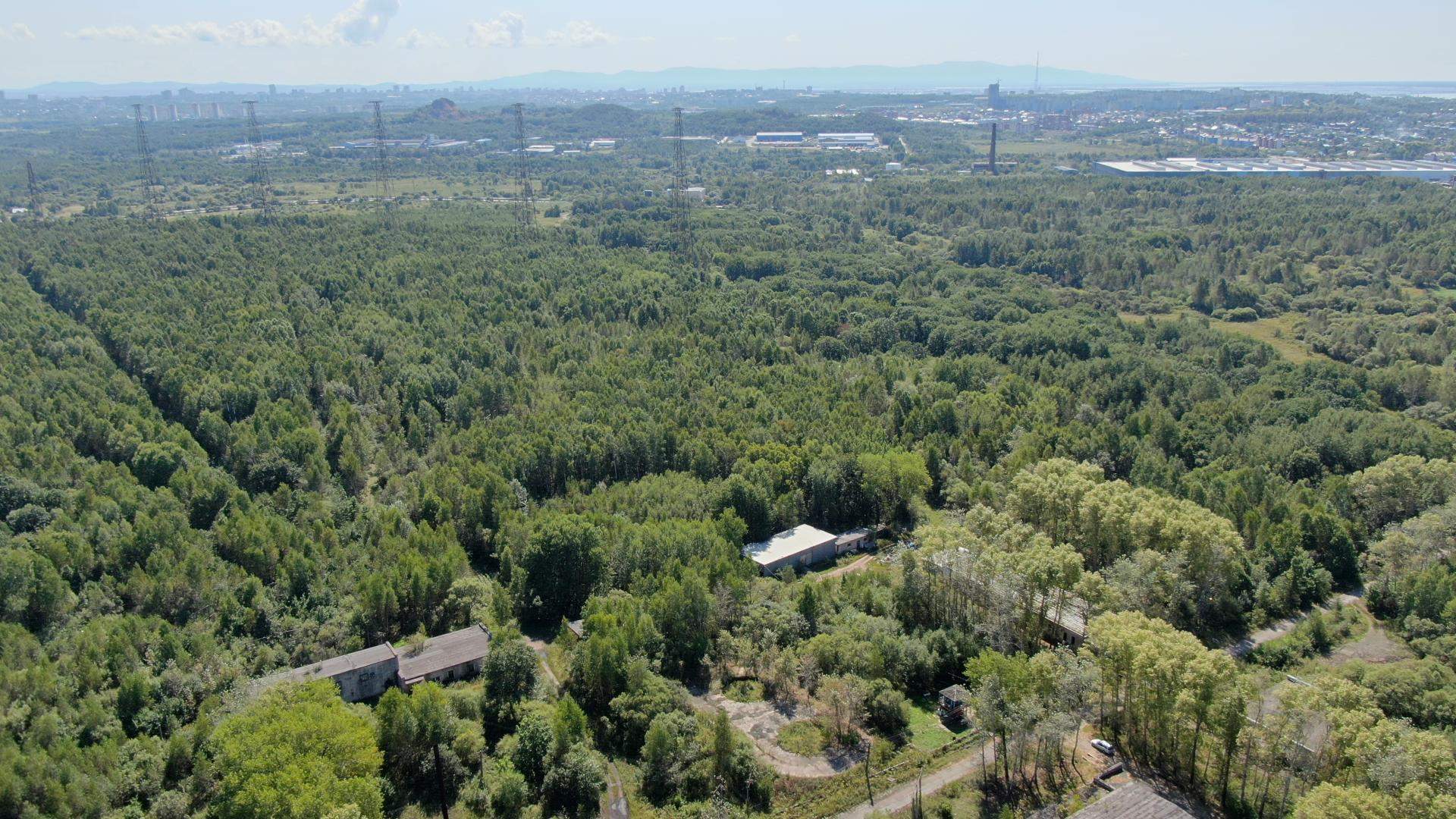 Сдам в аренду земельный участок 165489 м.кв.