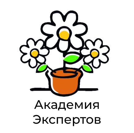 Компания "Академия Экспертов"