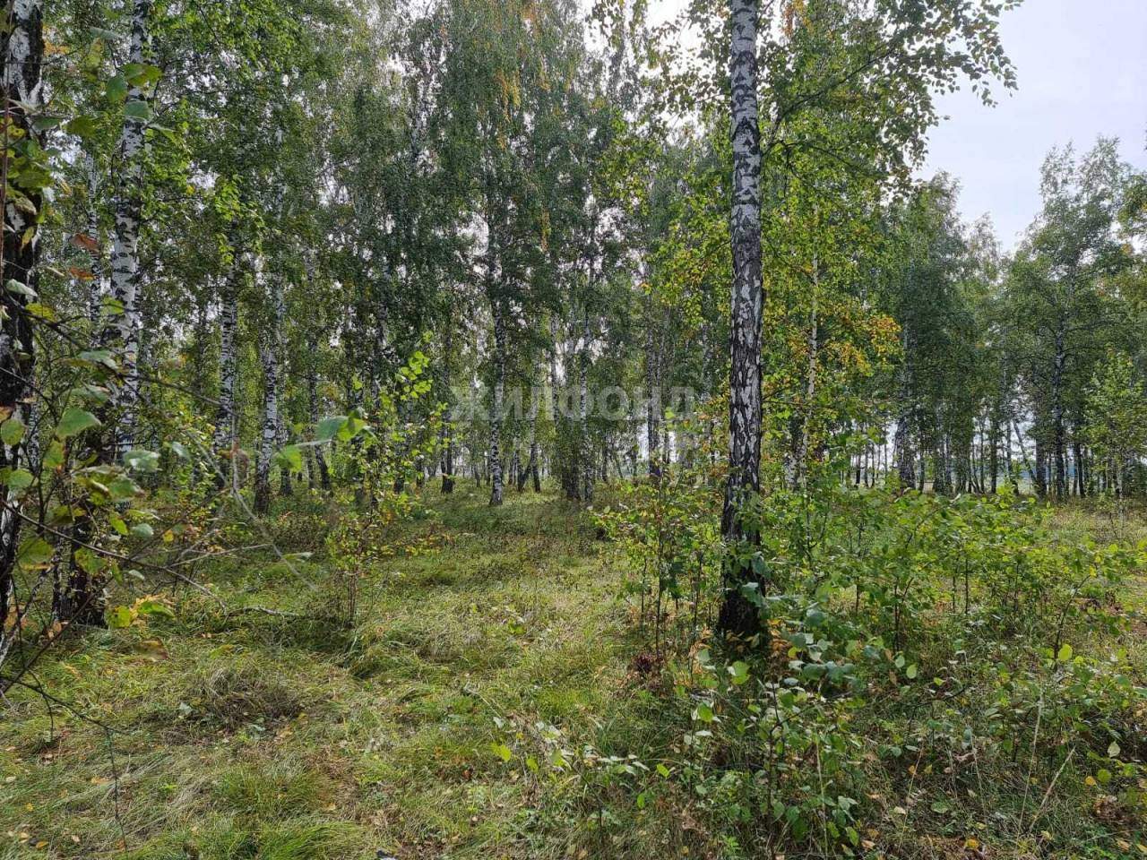 Продам земельный участок 883 м.кв.
