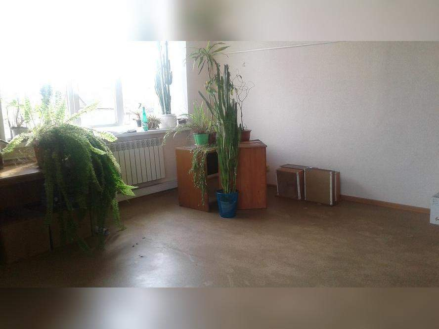 Сдам в аренду офис 491.5 м.кв.