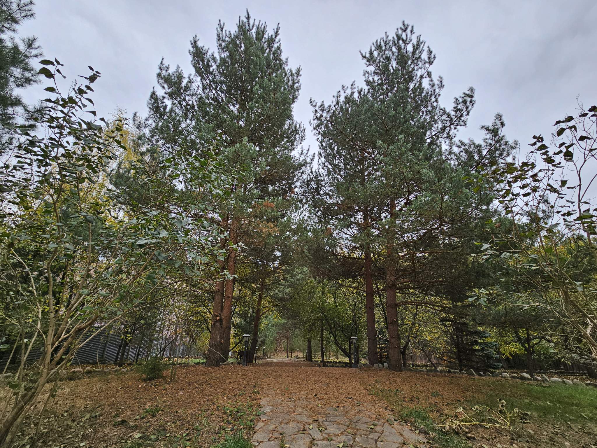 Участок на продажу в деревне Таганьково (Николино коттеджный поселок), ГП-4 территория фото №11