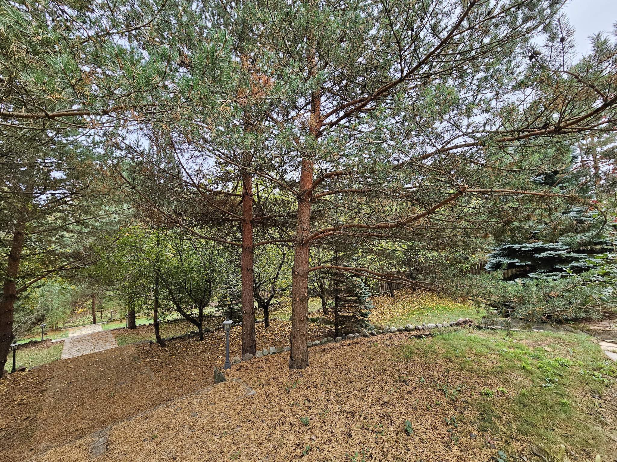 Продам земельный участок 2000 м.кв.