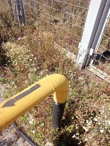 Продам производственное помещение 1446 м.кв.
