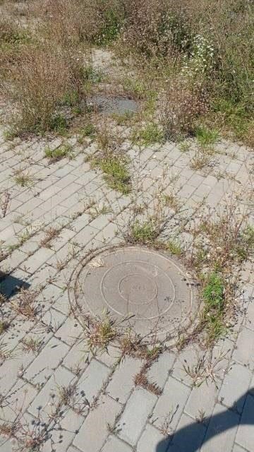 Продам производственное помещение 1446 м.кв.