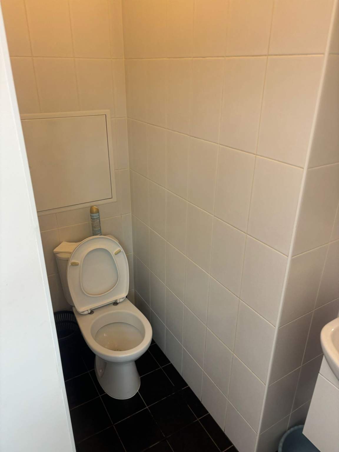 Сдам в аренду помещение свободного назначения 51.3 м.кв.