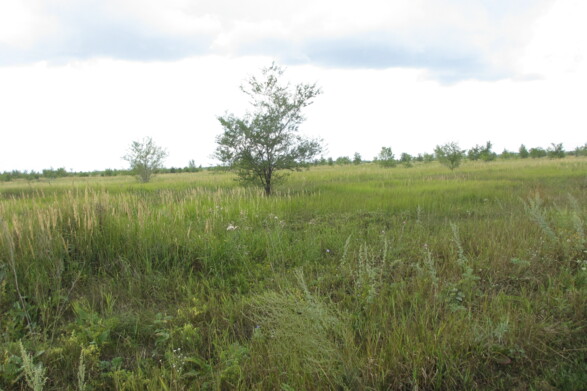 Участок на продажу в Тольятте, Южное шоссе фото №2