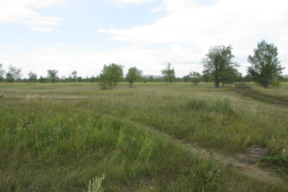 Участок на продажу в Тольятте, Южное шоссе фото №1