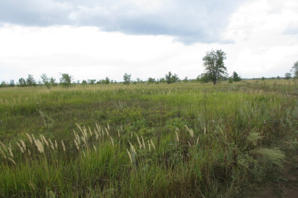 Участок на продажу в Тольятте, Южное шоссе фото №5