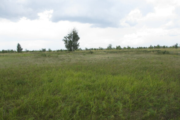 Участок на продажу в Тольятте, Южное шоссе фото №0