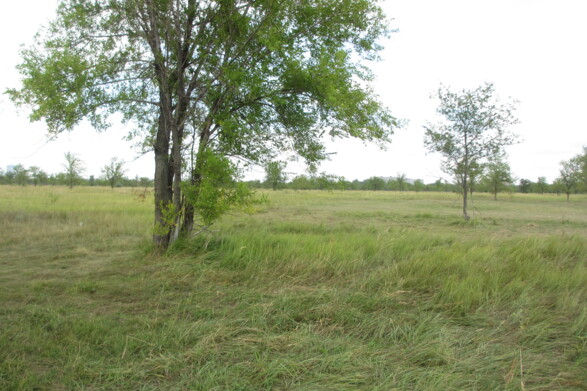 Участок на продажу в Тольятте, Южное шоссе фото №4