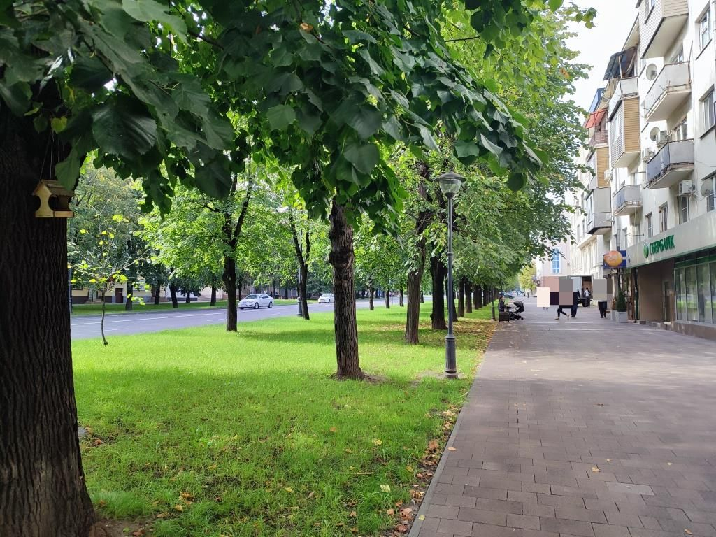 Сдам в аренду помещение свободного назначения 185.9 м.кв.