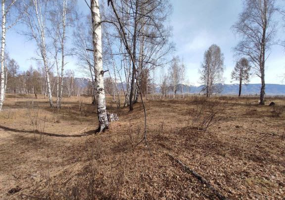 Участок на продажу в Горбуново фото №2