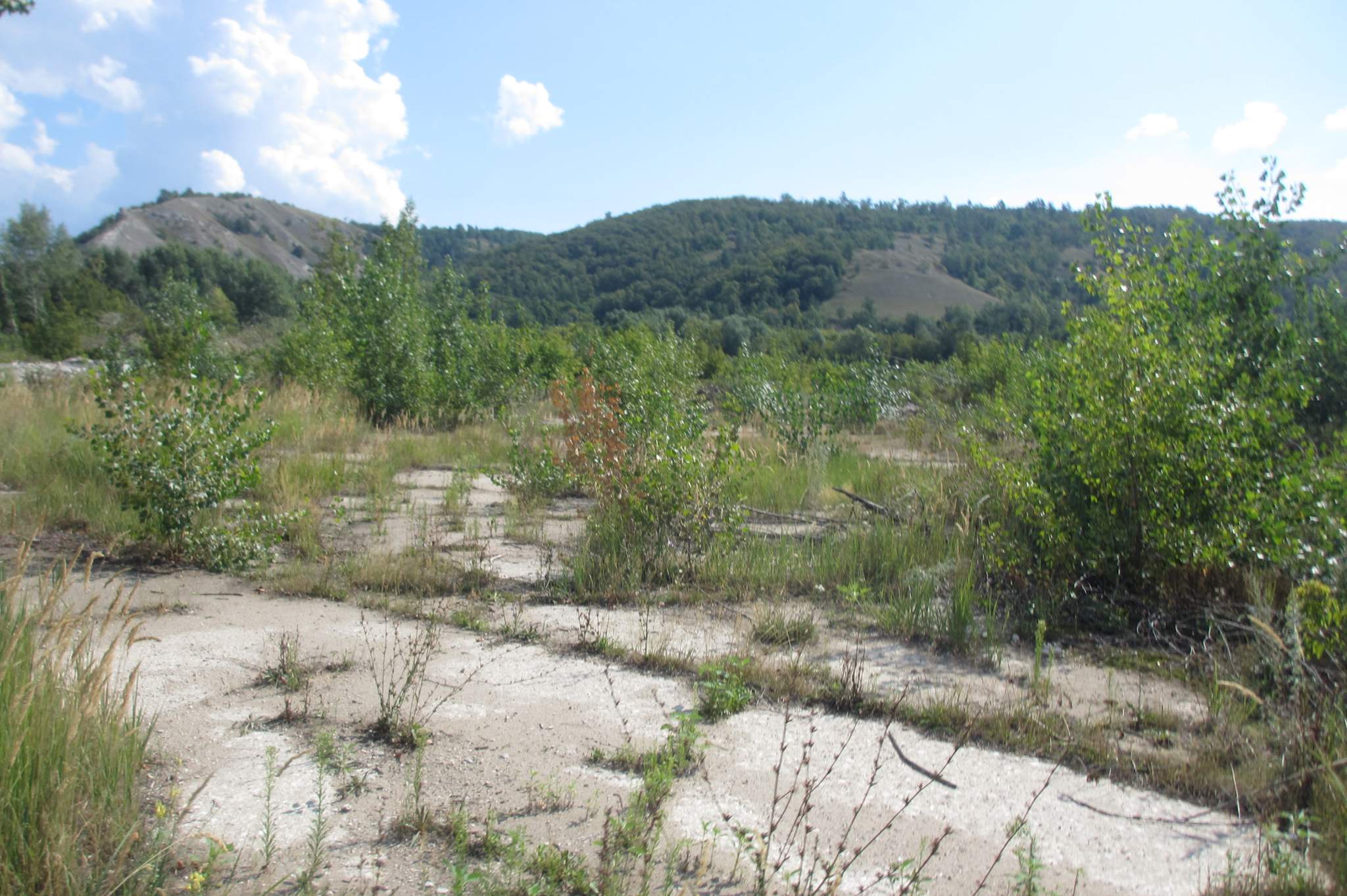 Участок на продажу в Жигулевске, Морквашинская улица фото №5