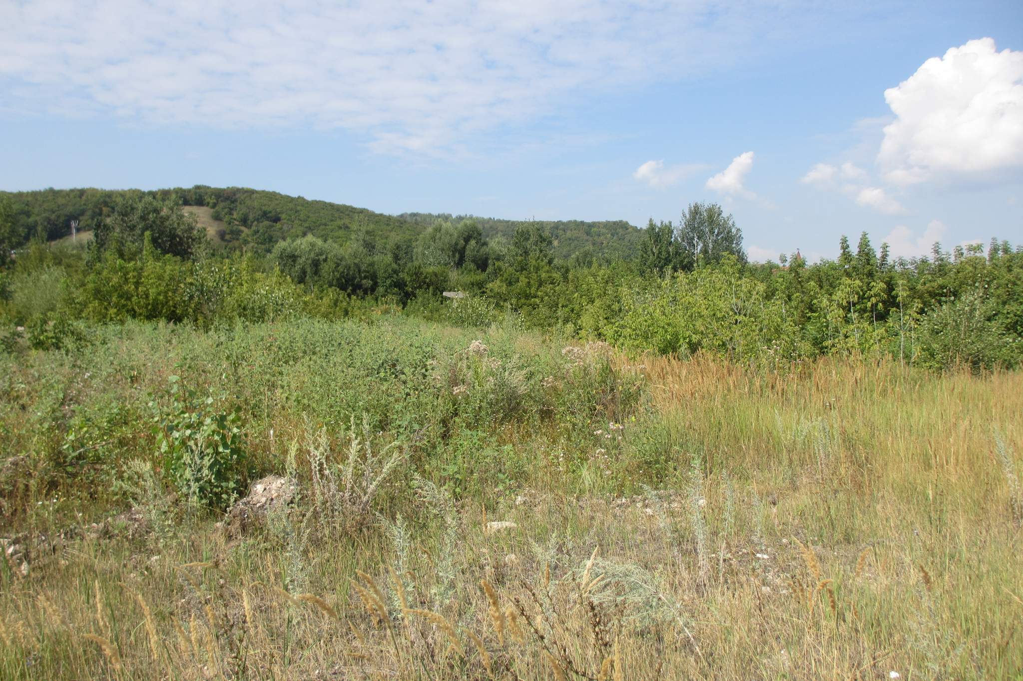 Участок на продажу в Жигулевске, Морквашинская улица фото №4