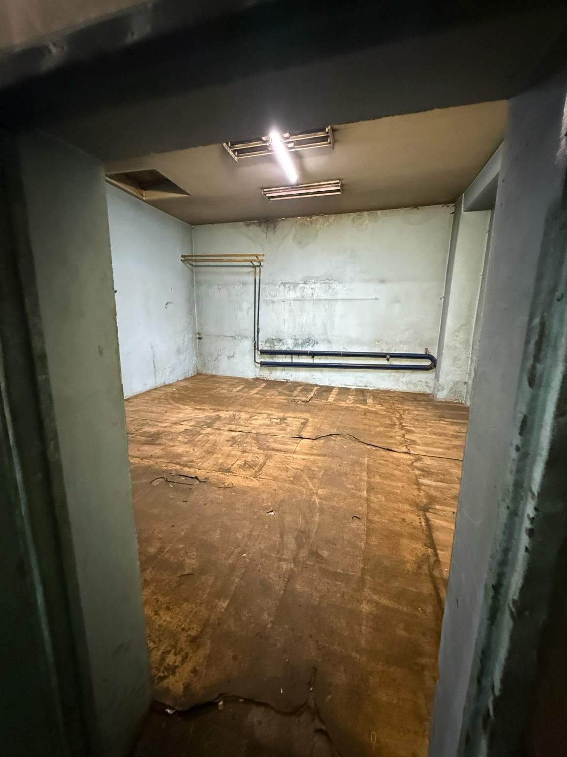 Сдам в аренду помещение свободного назначения 855 м.кв.